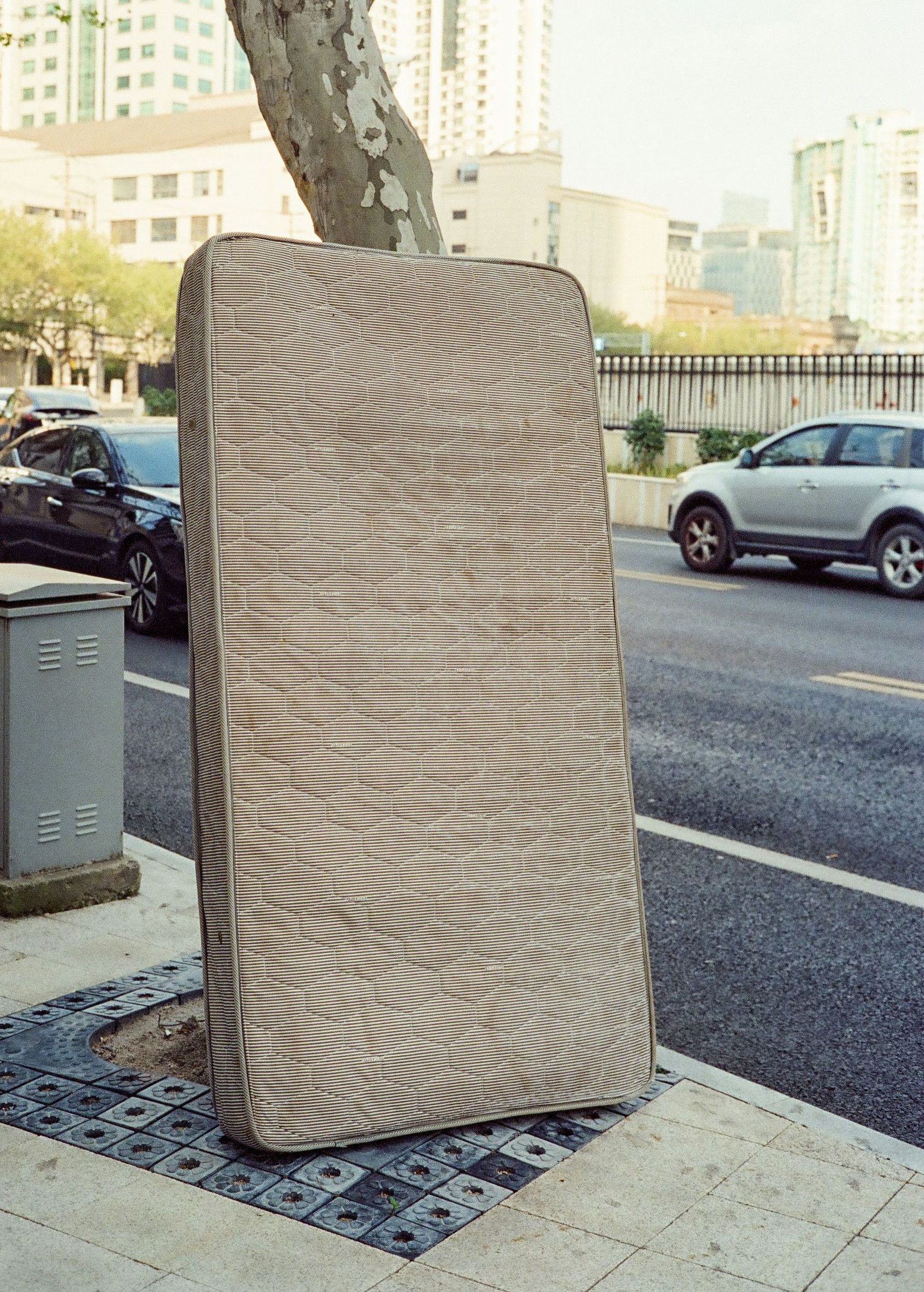 A mattress leans against a tree on the sidewalk.